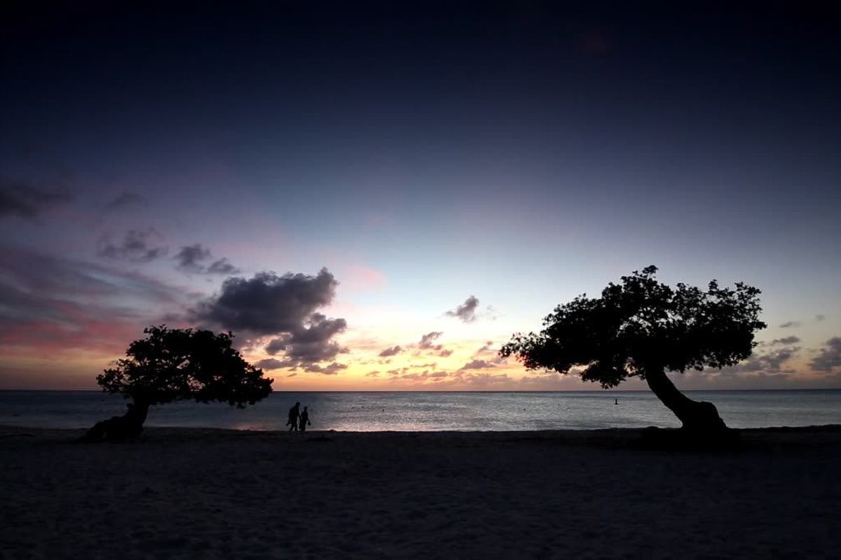 Sunset dinner or drinks